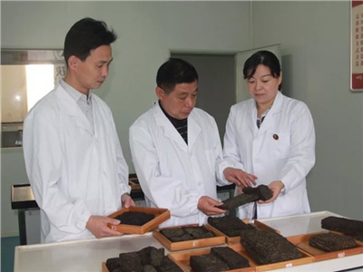 傳承茯茶非遺技藝、開拓創(chuàng)新引領(lǐng)行業(yè)發(fā)展